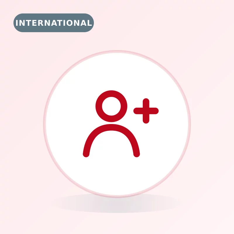 Followers Pinterest — provenance internationale